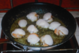 Vieires_amb_mantega_d´all..JPG