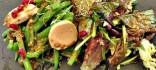 Amanida de mongeta tendra, gerds deshidratats, encenalls de mousse de foie amb festucs i fulles