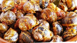 Recepta de cuina de Cargols a la cassola amb xoriço
