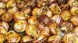 Recepta de cuina de Cargols a la llauna