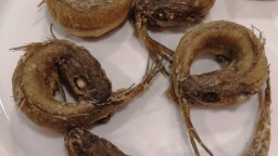 Recepta de cuina de Maires fregides