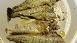 Recepta de cuina de Orada salvatge a la planxa o brasa amb herbes aromàtiques