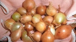 Recepta de cuina de Cebetes caramelitzades