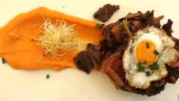 Recepta de cuina de Timbal de rovellons, camagrocs i rossinyols amb parmentier de moniato i ou de guatlla
