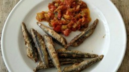 Recepta de cuina de Seitons fregits  amb samfaina