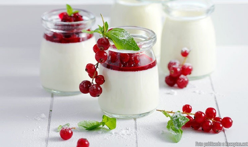 Pannacotta a l'alfàbrega amb groselles
