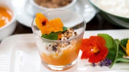 Recepta de cuina de Mousse de iogurt de cabra amb crema de mango