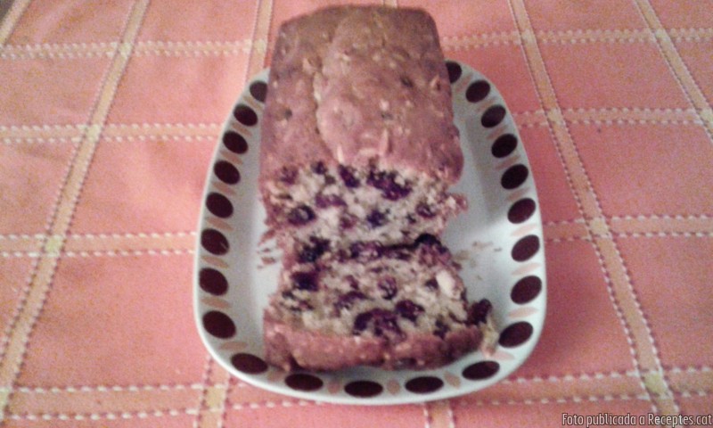 Plum cake de llavors de xoco sense minipimer
