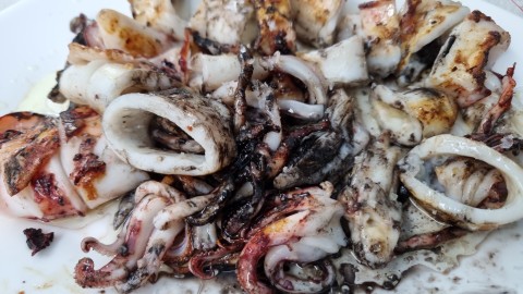 Calamars de potera amb la seva tinta