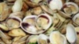 Recepta de cuina de Xirles bullides amb salsa