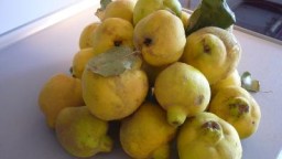 Recepta de cuina de Salsa de Codonyat