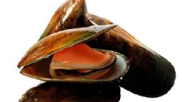 Recepta de cuina de Musclos amb picada de pebrot i tomàquet