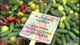 Recepta de cuina de Amanida de cogombre