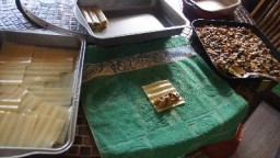 Recepta de cuina de Canelons  de bolets de primavera amb salsa de ceps