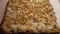 Recepta de cuina de Coca de pinyons
