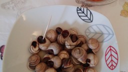 Recepta de cuina de Cargols bullits