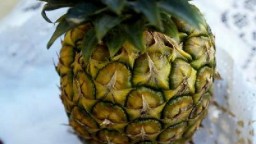 Recepta de cuina de Pinya farcida de gelat