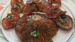 Recepta de cuina de Rovellons a la brasa