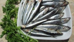 Recepta de cuina de Seitons amb salsa de tomàquet