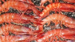 Recepta de cuina de Gambes a la sal