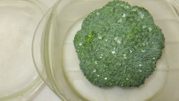 Recepta de cuina de Bròquil al microones acompanyat de tonyina de llauna