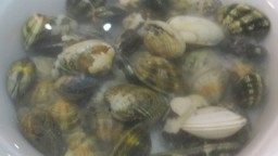 Recepta de cuina de Cloïsses al vapor al forn de brasa amb emulsió d’all i julivert