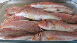 Recepta de cuina de Rogers ( molls ) a la brasa