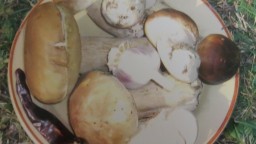 Recepta de cuina de Ceps saltejats amb alls tendres