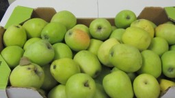 Recepta de cuina de Truita de pomes del ciri