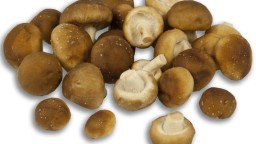 Recepta de cuina de Medallons de bou a la planxa amb bolets japonesos i llagostins