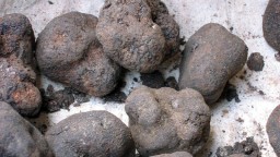 Recepta de cuina de Galta de porc desossada amb cremós de patata trufada