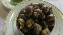 Recepta de cuina de Cargols bovers bullits i amb salsa verda