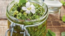 Recepta de cuina de Pesto de trèvols del Bosc