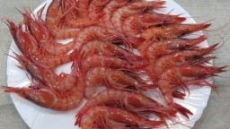 Recepta de cuina de Gambes a la planxa volta i volta