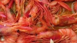 Recepta de cuina de Gambetes de la platja d’Arenys saltejades amb all i una mica de julivert