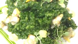Recepta de cuina de Arròs amb plàncton marí  i escopinyes