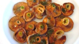 Recepta de cuina de Rovellons d'Arenys de Munt amb all i julivert