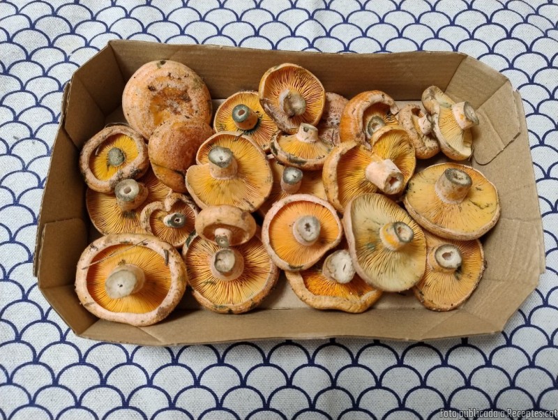 Rovellons cuits amb el seu suc