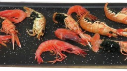 Recepta de cuina de Escamarlans, gambes i escopinyes d’Arenys a la planxa