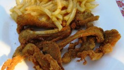 Recepta de cuina de Cabrit arrebossat