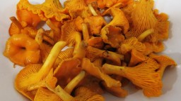 Recepta de cuina de Rossinyols amb escamarlans