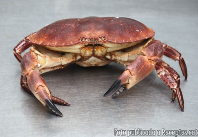Arròs caldós de maric amb bou de mar