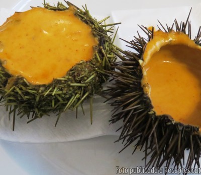 Recepta de cuina de Garota o eriçó de mar amb la seva carn i salsa de gambes