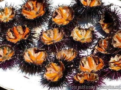 Recepta de cuina de Garoines crues ( erizo de mar )