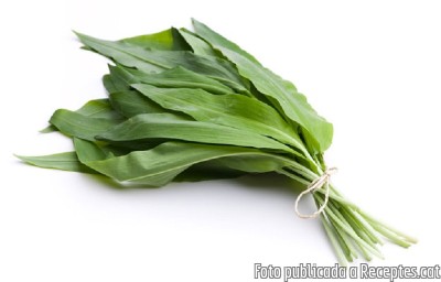 Recepta de cuina de Sopa d'all d'ós amb crema