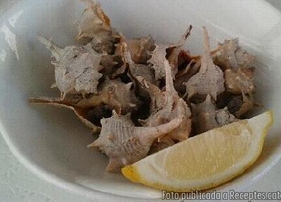 Cargols de mar