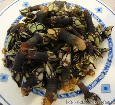Recepta de cuina de Percebes cuits