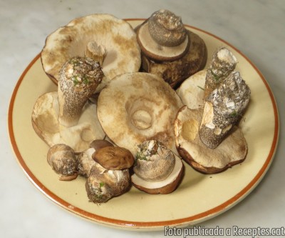 Recepta de cuina de Abrons de bedoll amb bull blanc de Camprodon