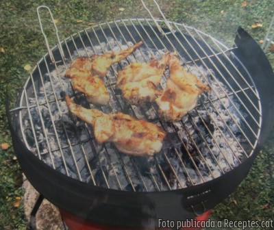 Recepta de cuina de Conill de pagès a la brasa