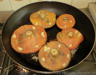 Rovellons, dels pins d’en Mir d’Arenys de Munt, gratinats al forn amb all